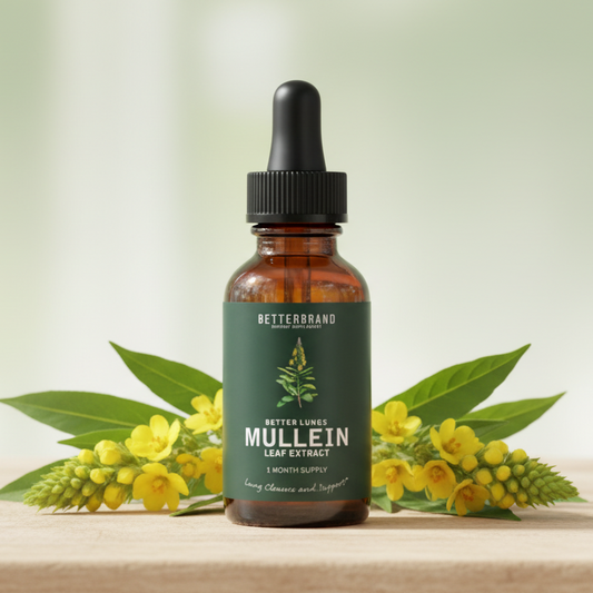 mullein gordolobo para limpieza de pulmones